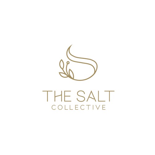 Salt logo with the title 'The Salt Collective'