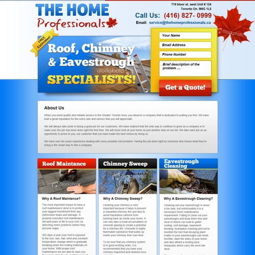 Budget design with the title 'Website Design for The Home Professionals'