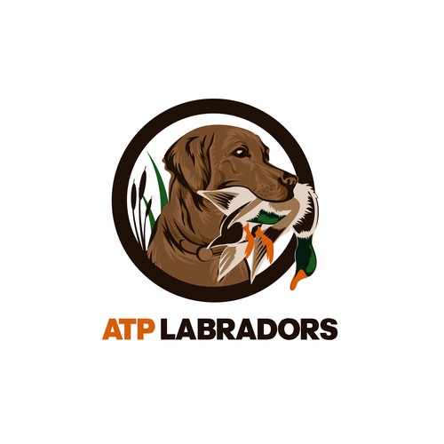 Duck hunting logo with the title 'chocolat labradors ( dog ) duck '