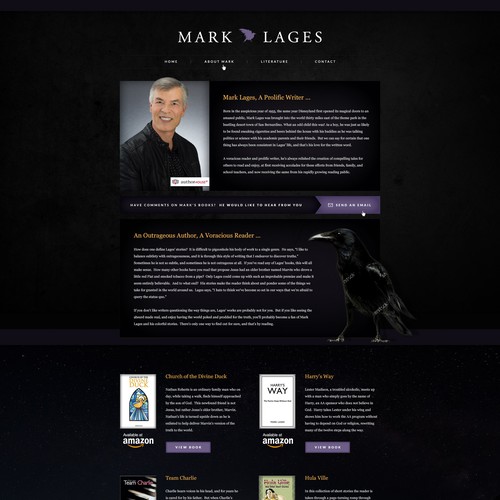 Literature design with the title 'A Bold Design Concept for an Author'