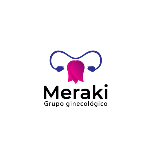 Tulip logo with the title 'Meraki'