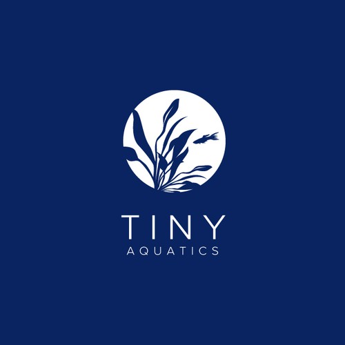 Aquarium design with the title 'Tiny Aquatics'