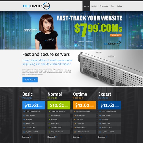 Company website with the title 'Web hosting'