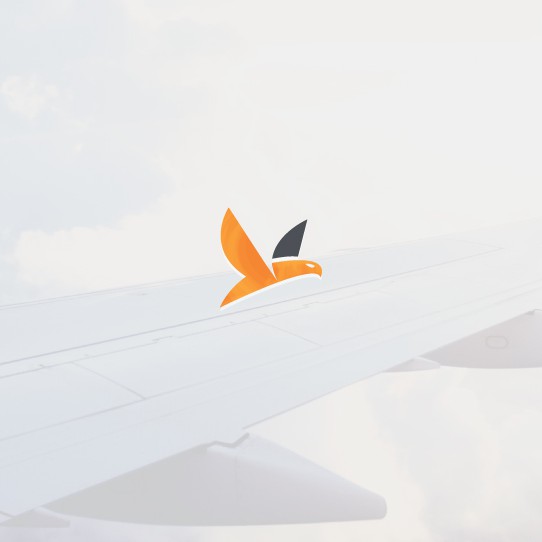 Flight design with the title 'Minimal aviation logo'