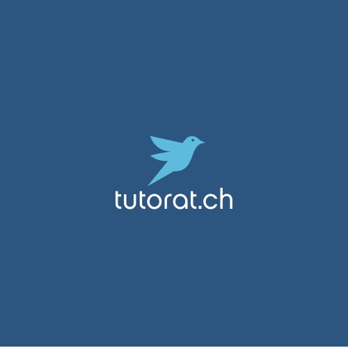 Animal logo with the title 'BIRD CONCEPT'