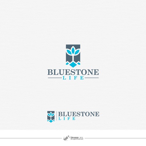 Stone design with the title 'Blue Stone Life'