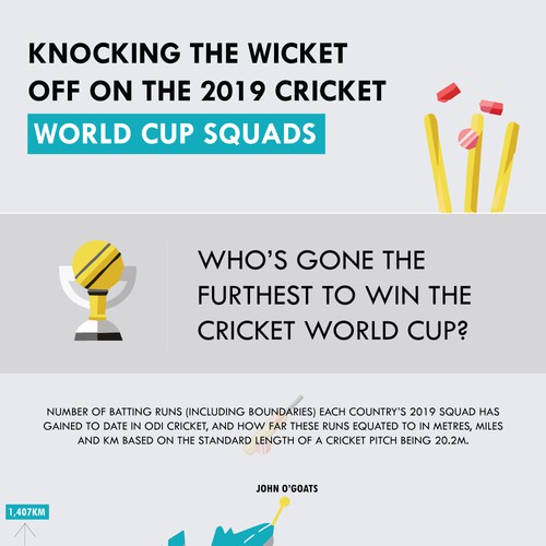 Cricket design with the title '2019 Cricket World Cup Infographic'