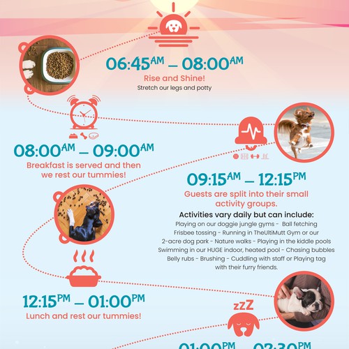 Schedule design with the title 'The Ultimutt Typical Day Web Page infographic'