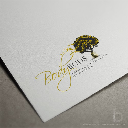 Wind logo with the title 'Logo Design Concept for BodyBuds'