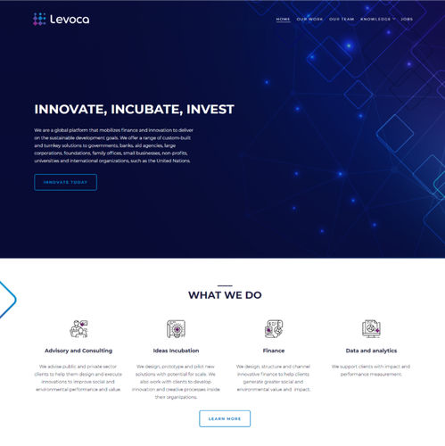 Adobe XD design with the title 'Logo and hosted web design for Levoca'