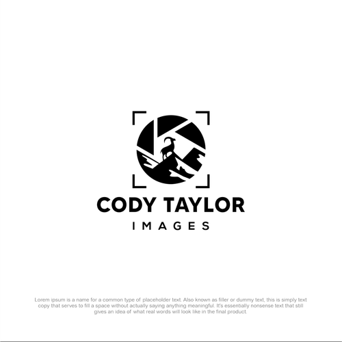 Wildlife photography logo with the title 'CODY TAYLOR IMAGES'