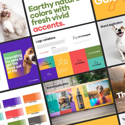 Health design with the title 'Alchemypet Brand Manual'
