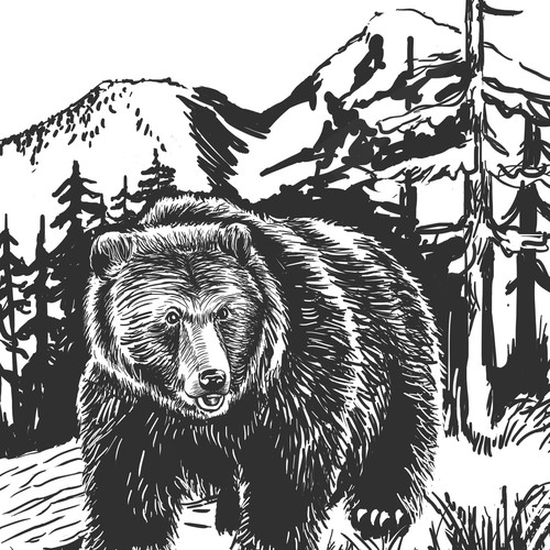 Bear illustration with the title 'B&W Book illustration'