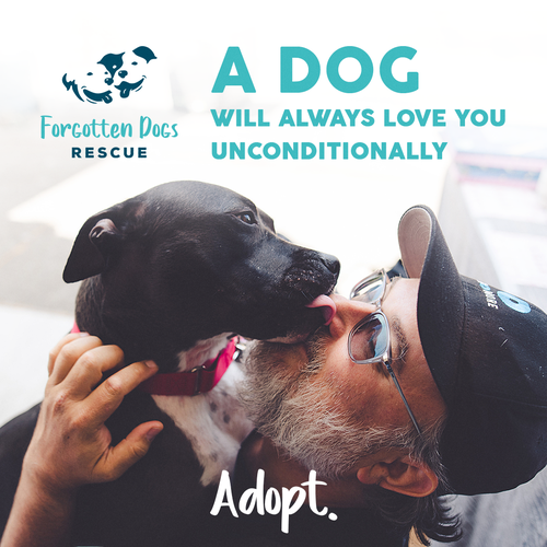 Instagram ad design with the title 'Facebook Instagram Ad'