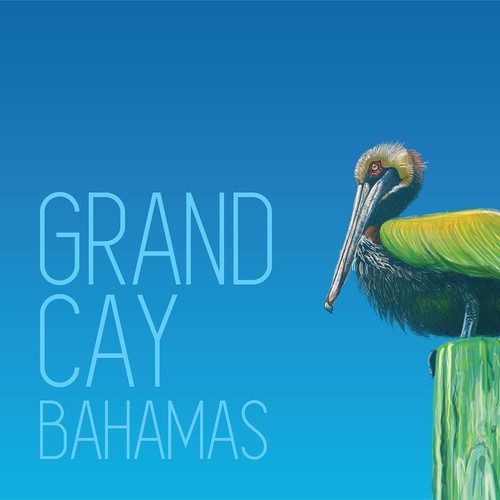 Bird illustration with the title 'Art & illustration'