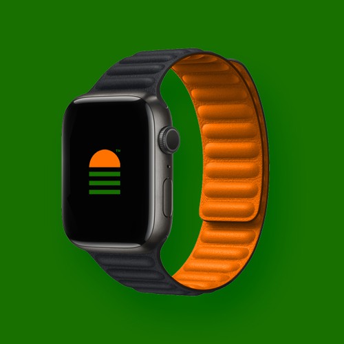 Sun logo with the title 'Terra Plana'