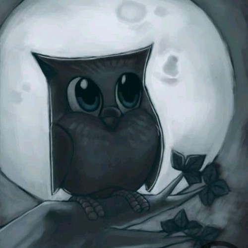 Owl artwork with the title 'Owl during night.'