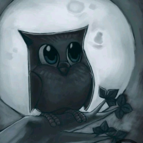 Moon artwork with the title 'Owl during night.'
