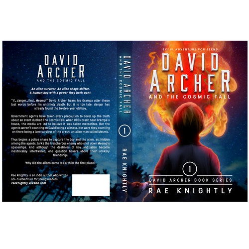Teen book cover with the title 'David Archer novel'