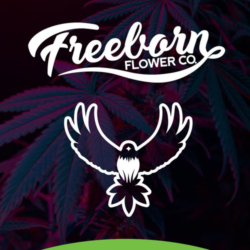 Cartoon design with the title 'Logo and branding for a North Carolina cannabis and lifestyle brand'