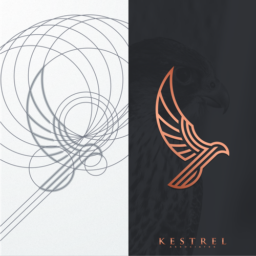 Falcon logo with the title 'luxury falcon'