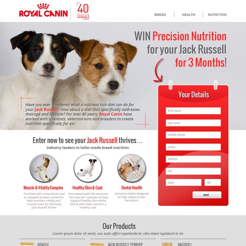 Call to action design with the title 'Bold Website/Landing Page Design'