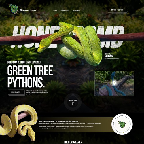 Animal website with the title 'Python Breeding Website'