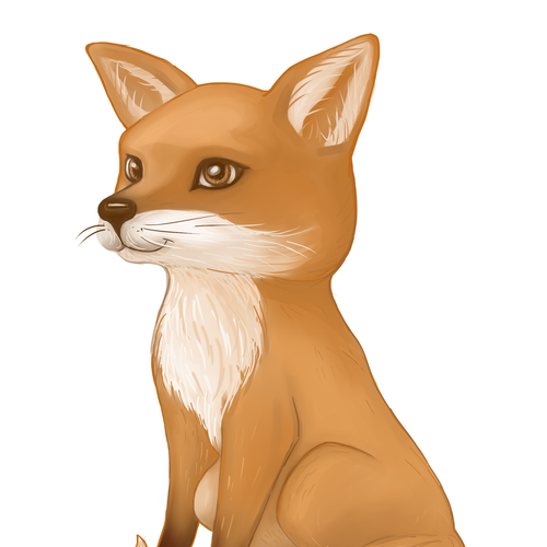 Fox illustration with the title 'Little friendly fox'