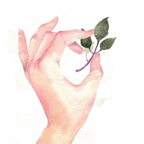 Rose illustration with the title 'Flowers company'