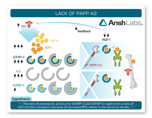 Medical artwork with the title 'Creative Scientific Illustration for Medical Research'