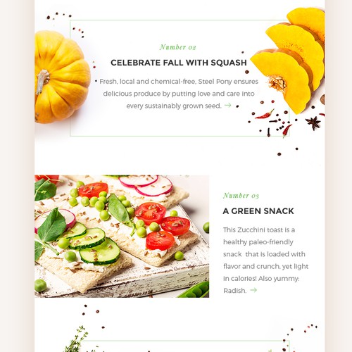 Pumpkin design with the title 'Email Newsletter for Sustainable Food'