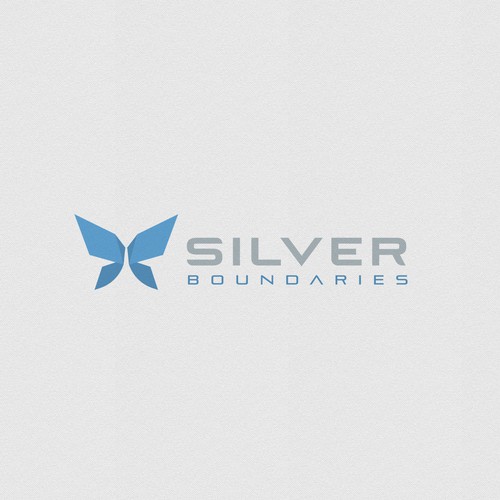 Education brand with the title 'Logo for Silver Boundaries'