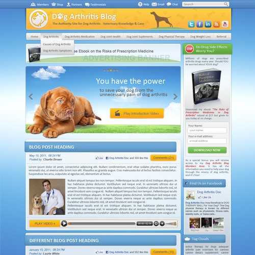 Dog store sites online