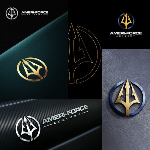 Pow logo with the title 'Ameri force academy'