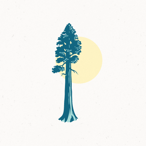 Redwood logo with the title 'Majestic sequoia'