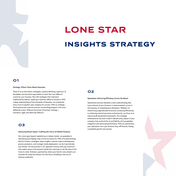 Texas design with the title 'Lone Star Insights Strategy'
