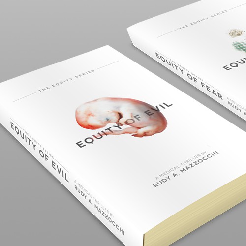 Attractive book cover with the title 'Book Cover for The EQUITY  Thriller Series'