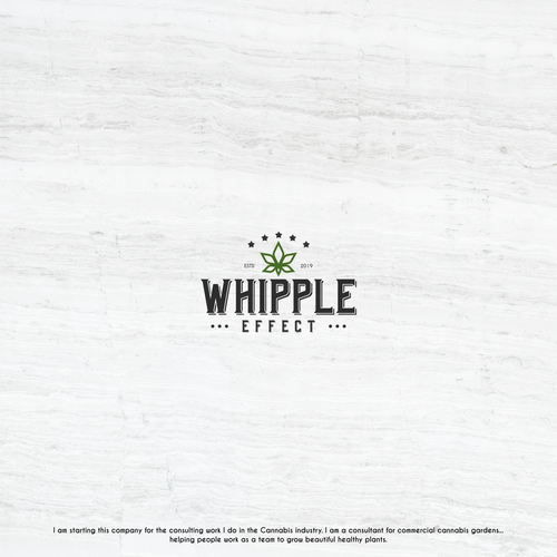 Consultant logo with the title 'The Whipple Effect Logo Concept'