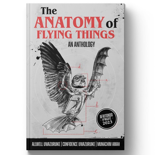 Bird book cover with the title 'Illustrated book cover '