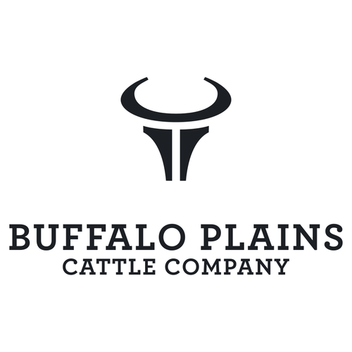 Yak logo with the title 'Simple bold logo concept for a cattle company'
