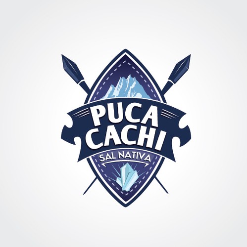 Salt logo with the title 'HEALTHY SALT company in Peru needs a new logo'