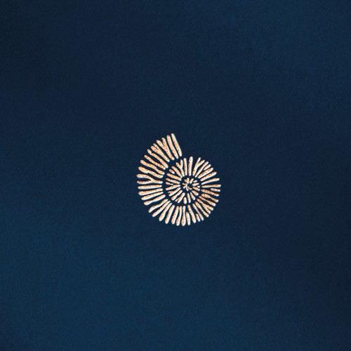 Shell design with the title 'Nautilus Shell inspired classic coastal luxury Meets Modern Finance '