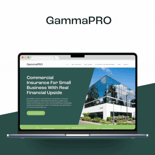 Design with the title 'GammaPRO Website'