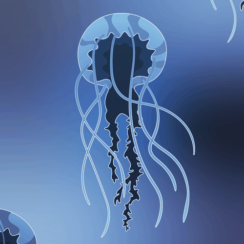 Jellyfish design with the title 'Into the Sea of Jellyfish'