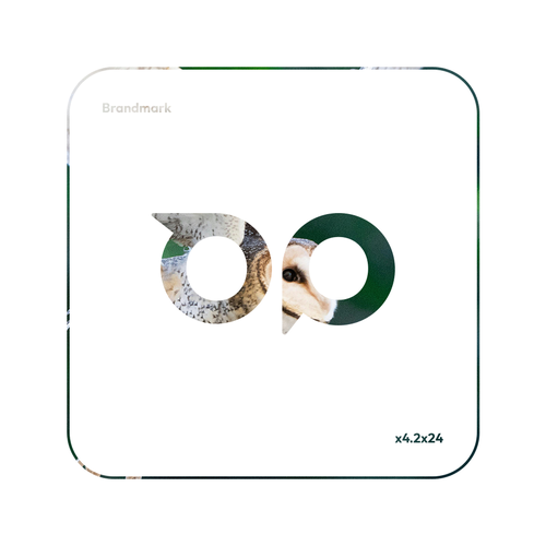 Speech bubble logo with the title 'Oplins'