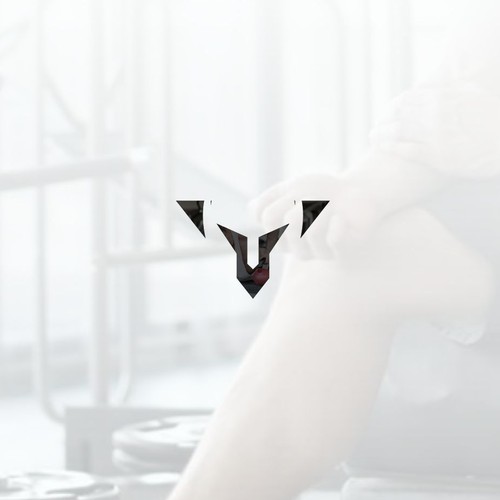 Gym brand with the title 'rising fitness'