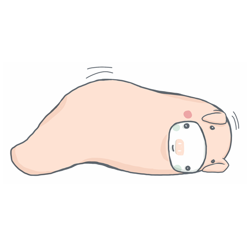 Creative illustration with the title 'pig character illustration'