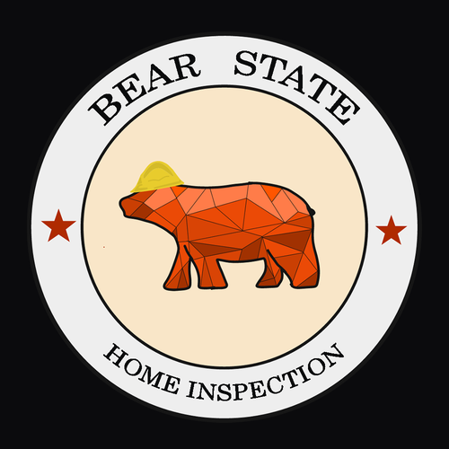 Indian logo with the title 'LOGO DESIGN '