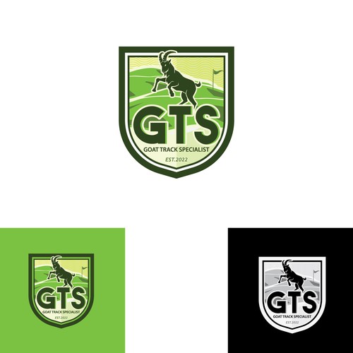 Logo artwork with the title 'GTS Logo'