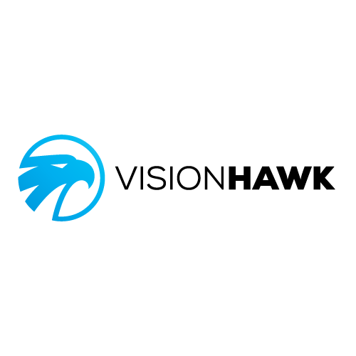 Hawk logo with the title 'Vision Hawk'